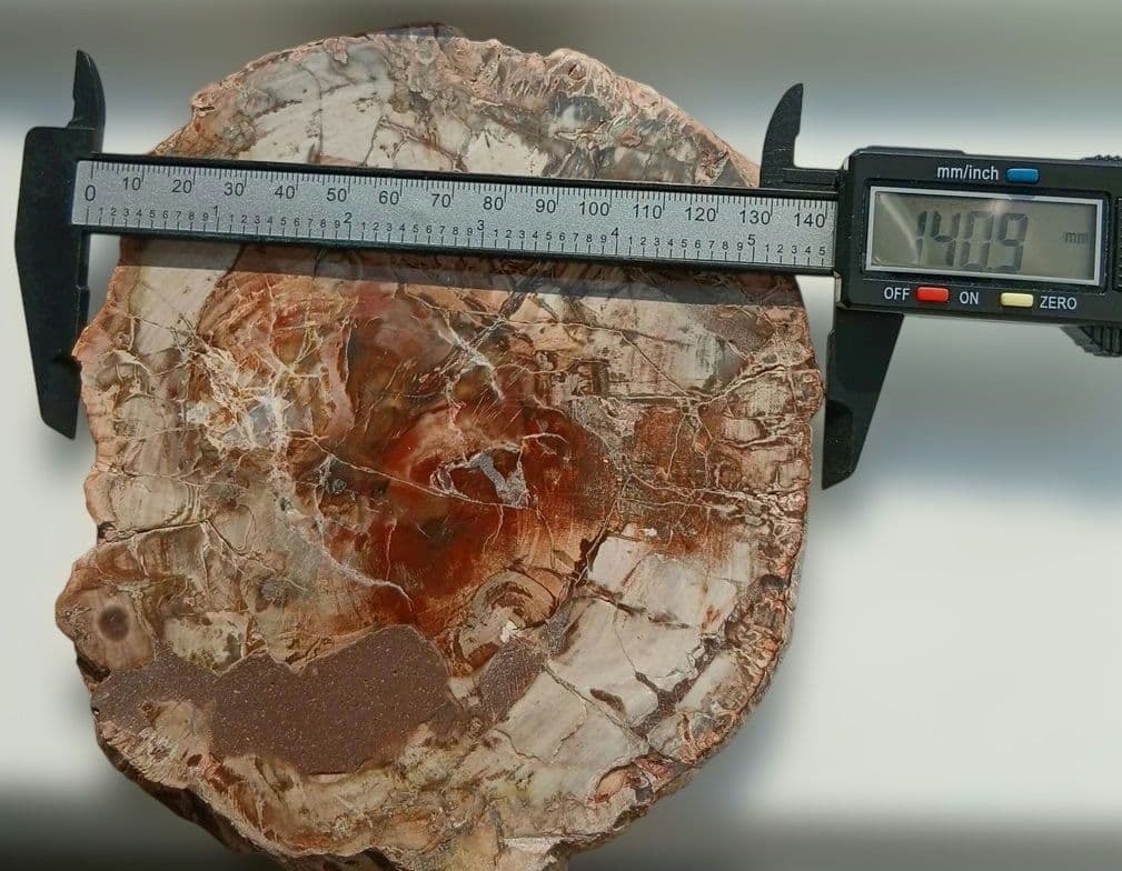 ペトリファイドウッド　珪化木　スライス　プレート　天然石　616g　ペトリ