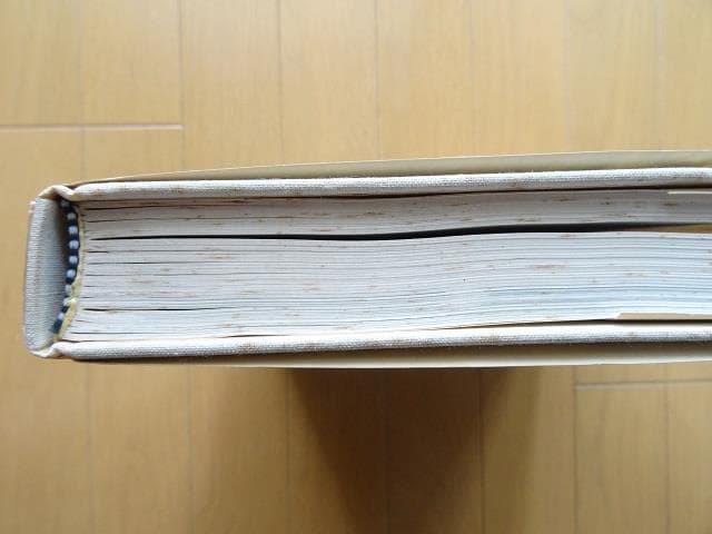 洋書◆西洋彫刻 作品写真集 本 ロマネスクからロダン