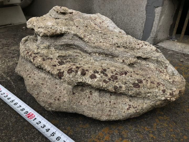 南極の石　（岩）ガーネット入り　稀少