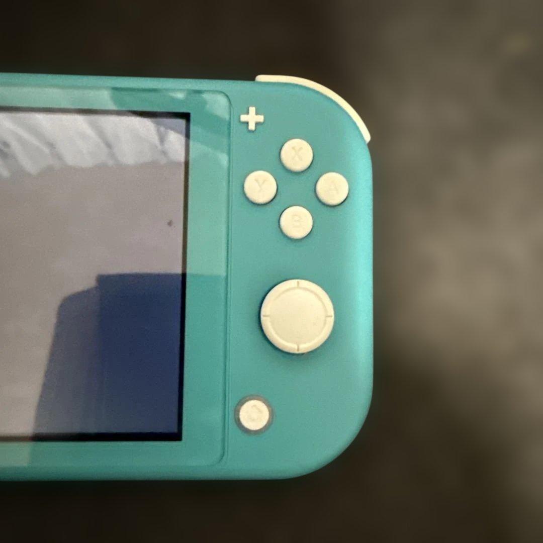 Switchライト　本体　ジャンク品