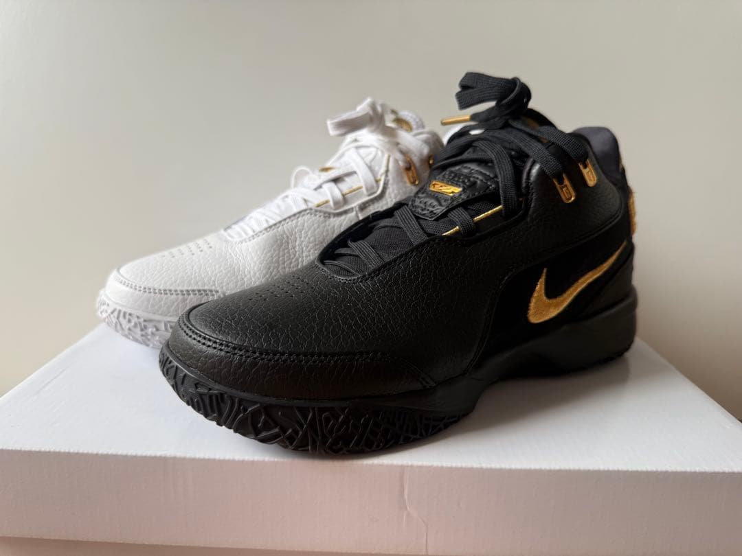 シューズ(女性用) NIKE ZM LEBRON NXXT GEN AMPD EP
