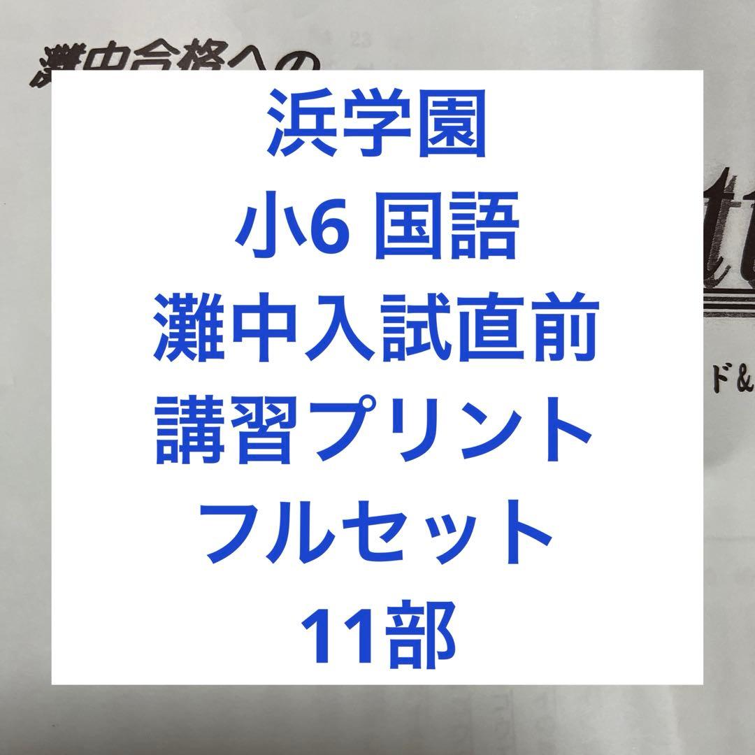 1点限り【浜学園】小6国語　灘中受験　入試直前プリント教材　計１１部