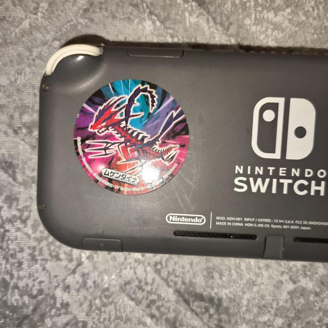 p*e様 【ジャンク品】Nintendo Switch Lite グレー　本体