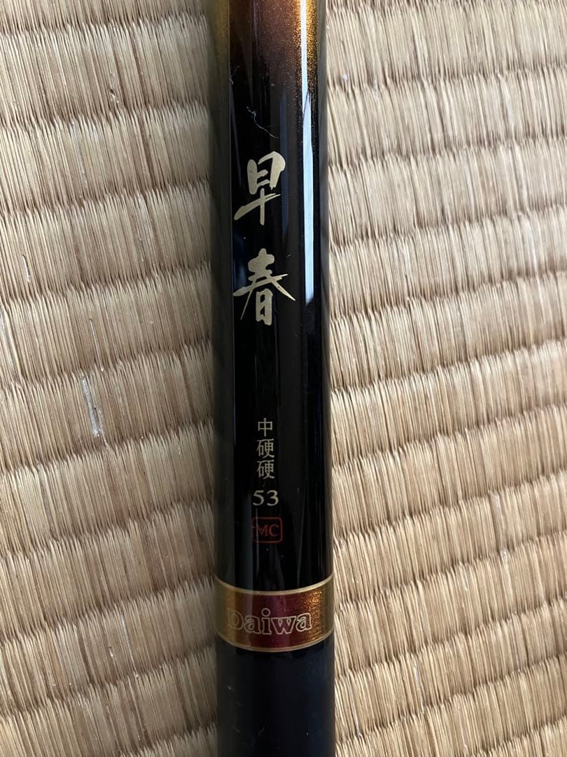 ダイワ 早春 中硬硬 53 Daiwa zoom 53-48-44