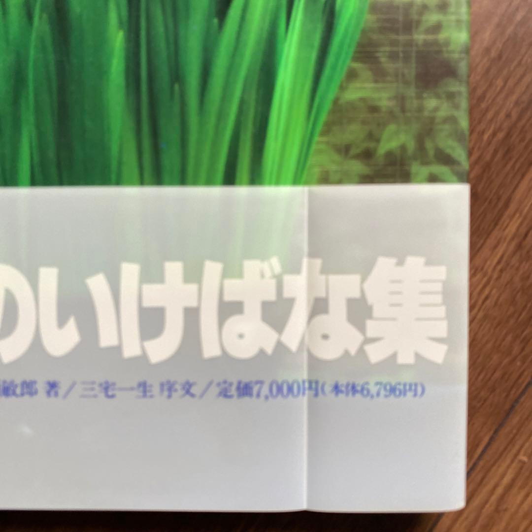 Inspired Flower Arrangements 川瀬敏郎のいけばな集