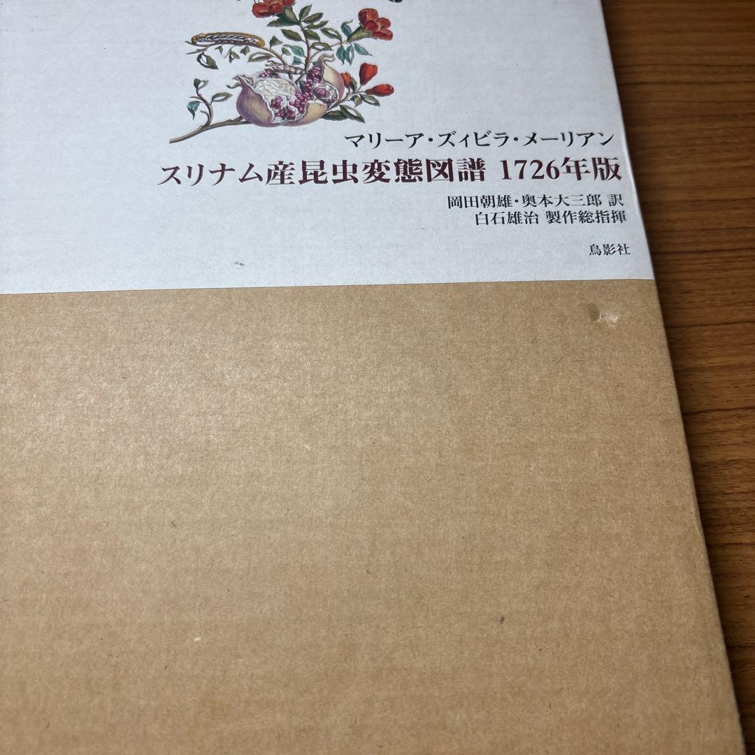 スリナム産昆虫変態図譜1726年版