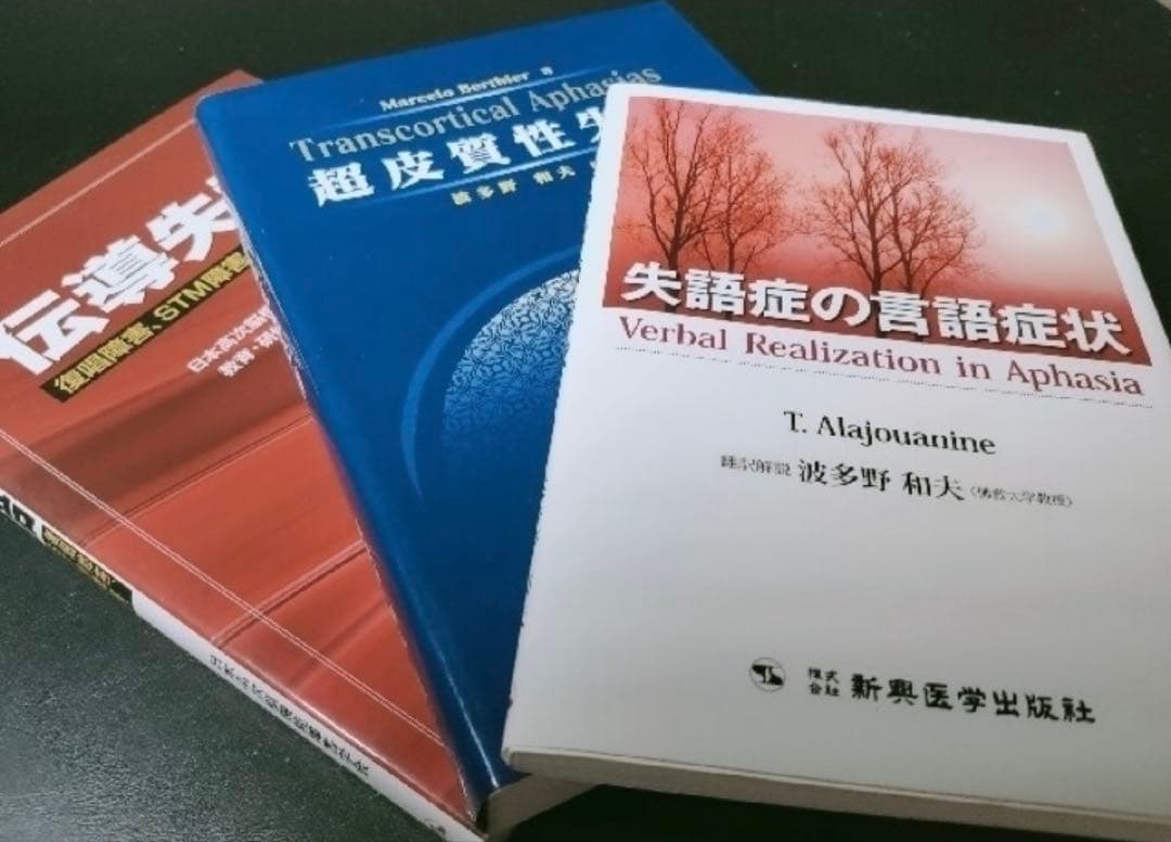 伝導失語 復唱障害、ＳＴＭ障害、音韻性錯語＋超皮質性失語＋