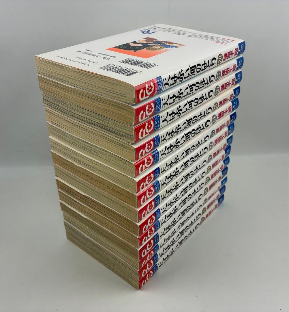 天は赤い河のほとり　全28巻　セット