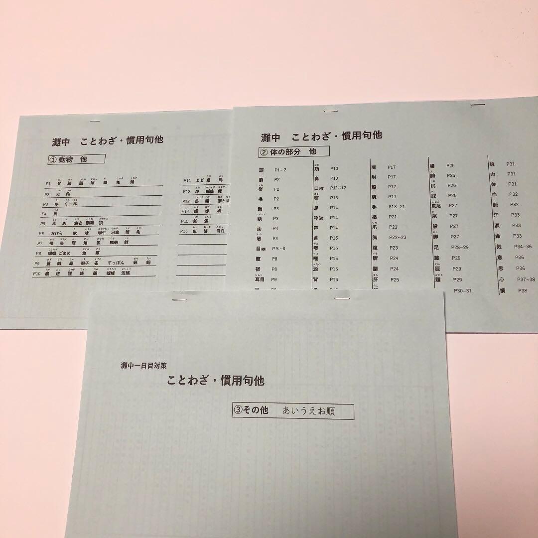 みかん　灘中　中学受験　国語　一日目対策資料4セット
