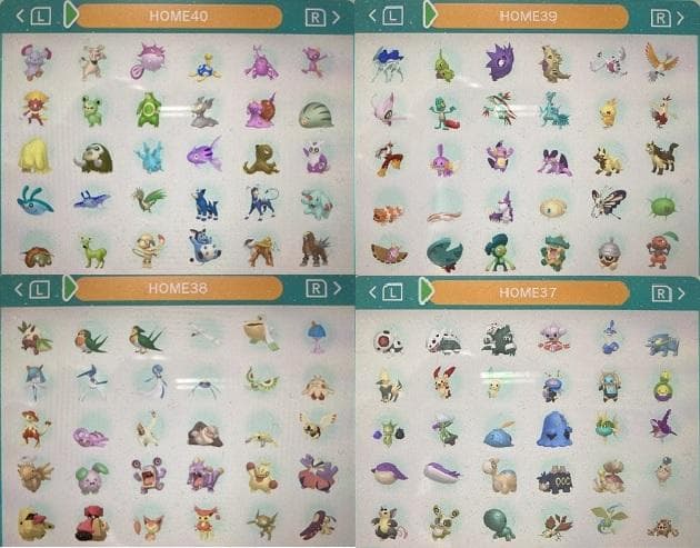 中古　ポケモン　ウルトラムーン　図鑑コンプリート全807種類　色違い全種　育成済
