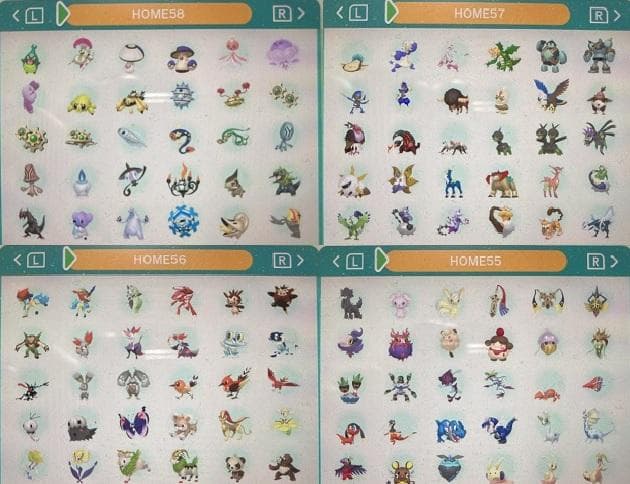 中古　ポケモン　ウルトラムーン　図鑑コンプリート全807種類　色違い全種　育成済