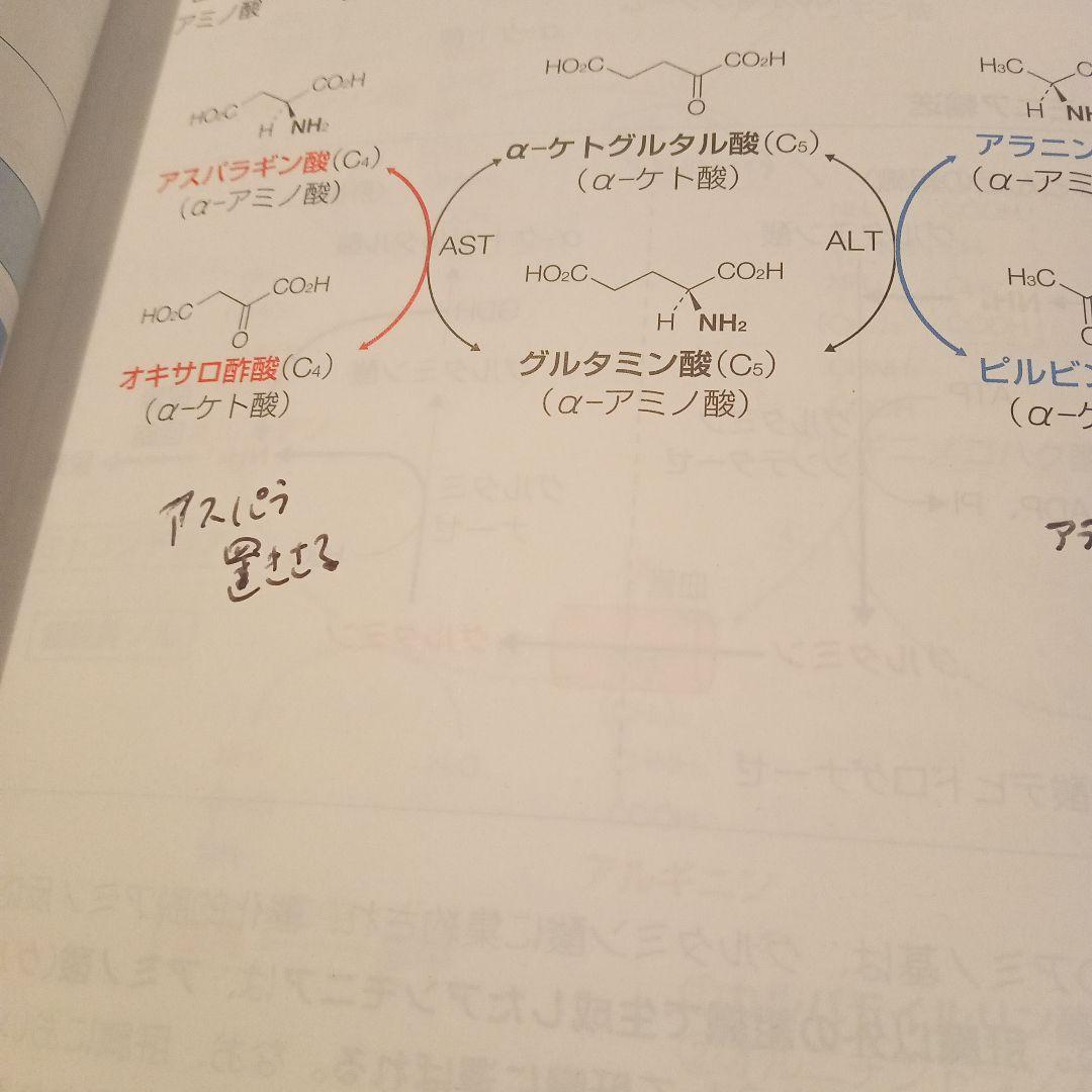 マ*ル様 薬剤師国家試験対策参考書　改訂第15版　薬学ゼミナール 青本・青問　計