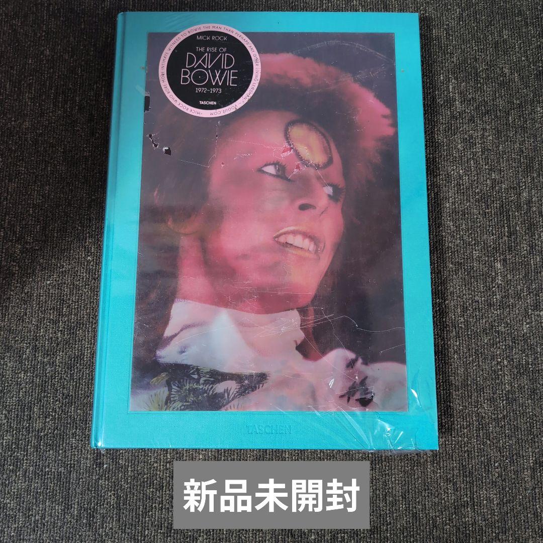 アート・デザイン・音楽 The Rise of David Bowie, 1972-1973
