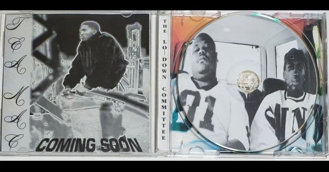 洋楽 THE LO-DOWN COMMITTEE/A DAY IN THE LIFE
