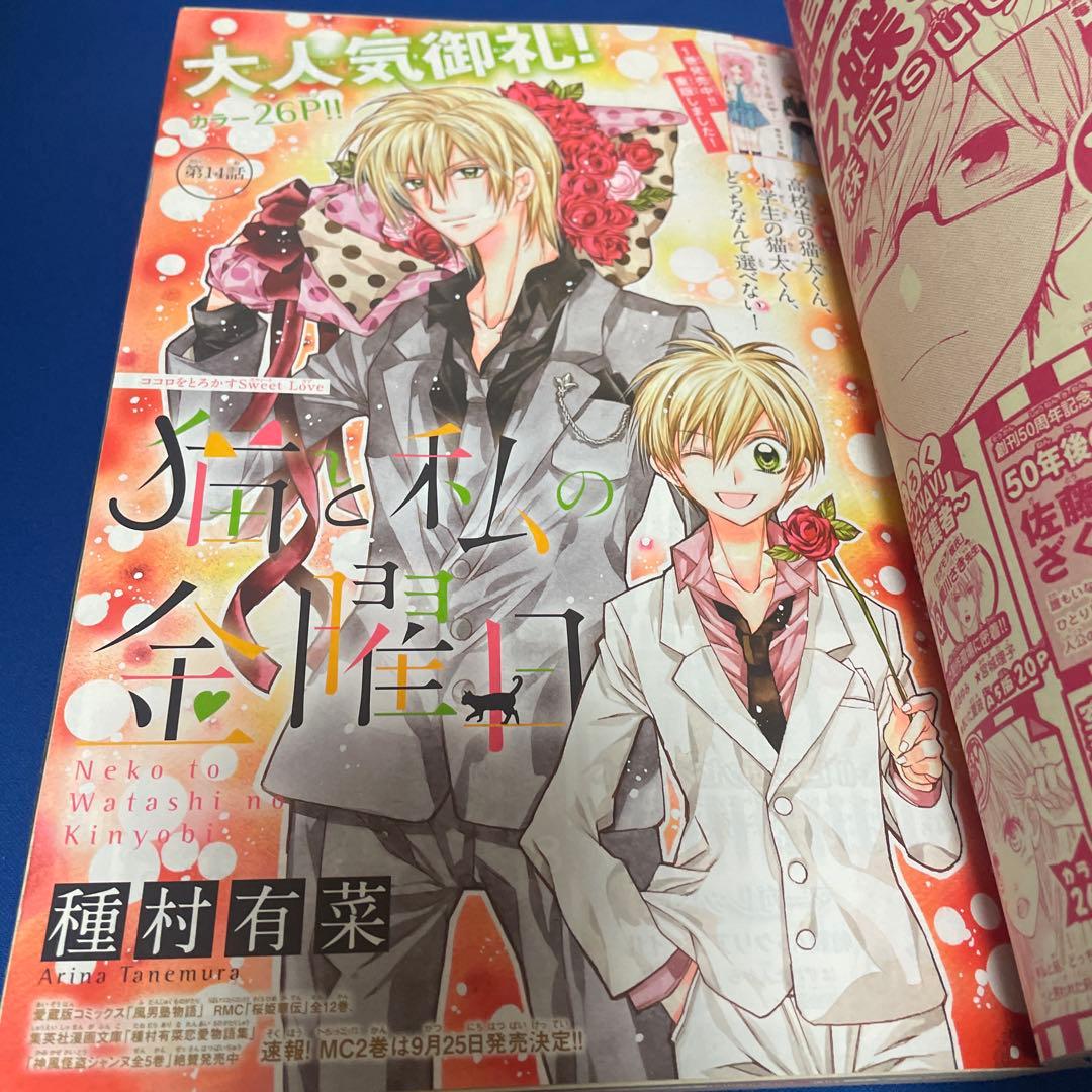 マーガレット2013年18号