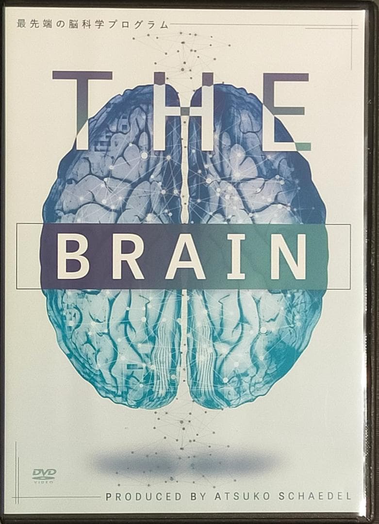 シェイデル敦子 THE BRAIN ＋ 川村修一 Theキネシオロジーセミナー