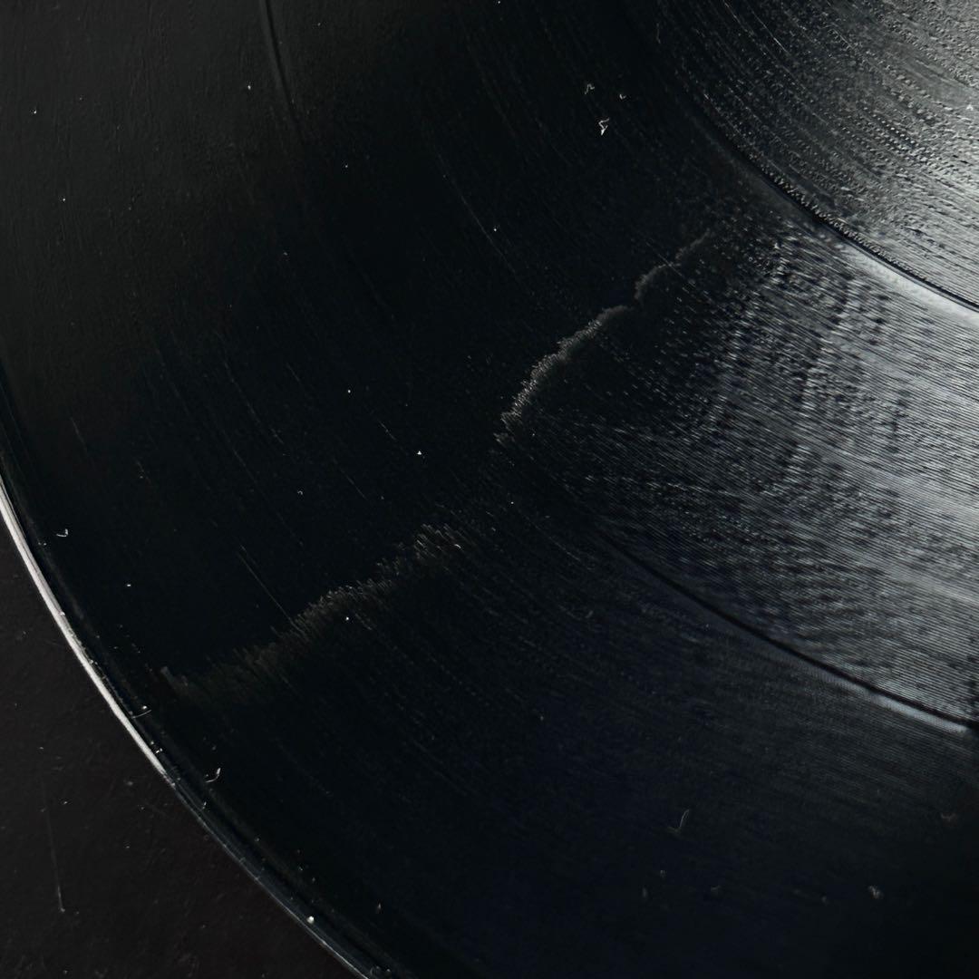 Main Source Large Professor レコード 12\" LP