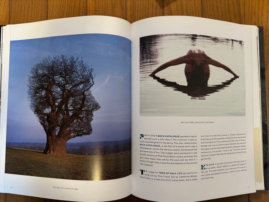 アート・デザイン・音楽 The Gathering Storm: Storm Thorgerson