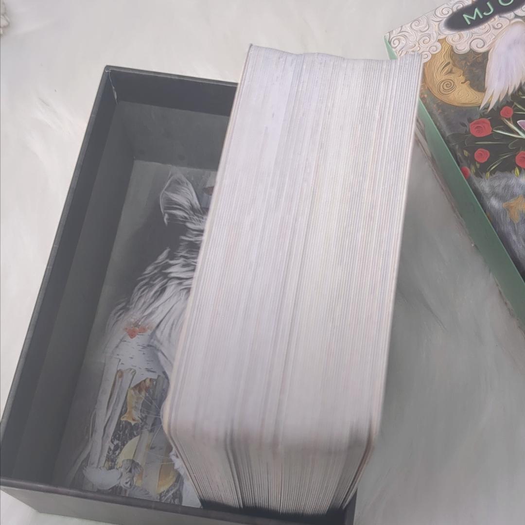 【正規品タロットカード】セール特価品✨好奇心旺盛な猫たちのデッキ