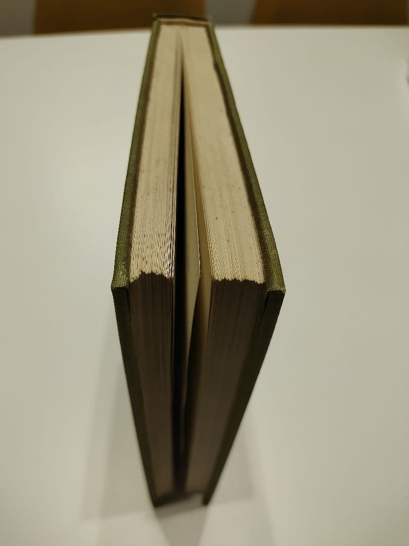 ネット中古で1万5千円弱する洋書(BUCOLICUM CARMEN)