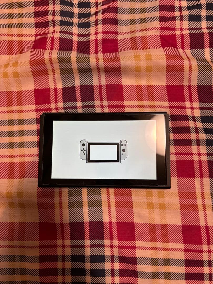 Nintendo Switch 画面のみ　動作品　初期化済