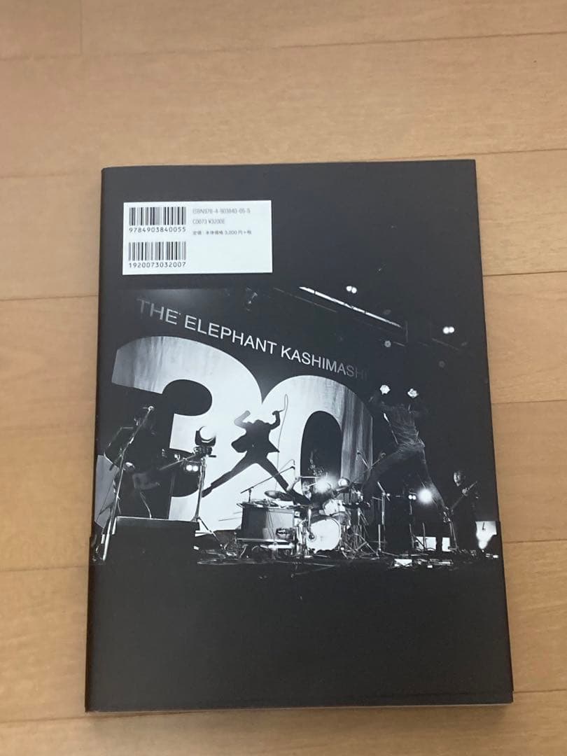 【美品】写真集/エレファントカシマシ/THE FIGHTING MAN