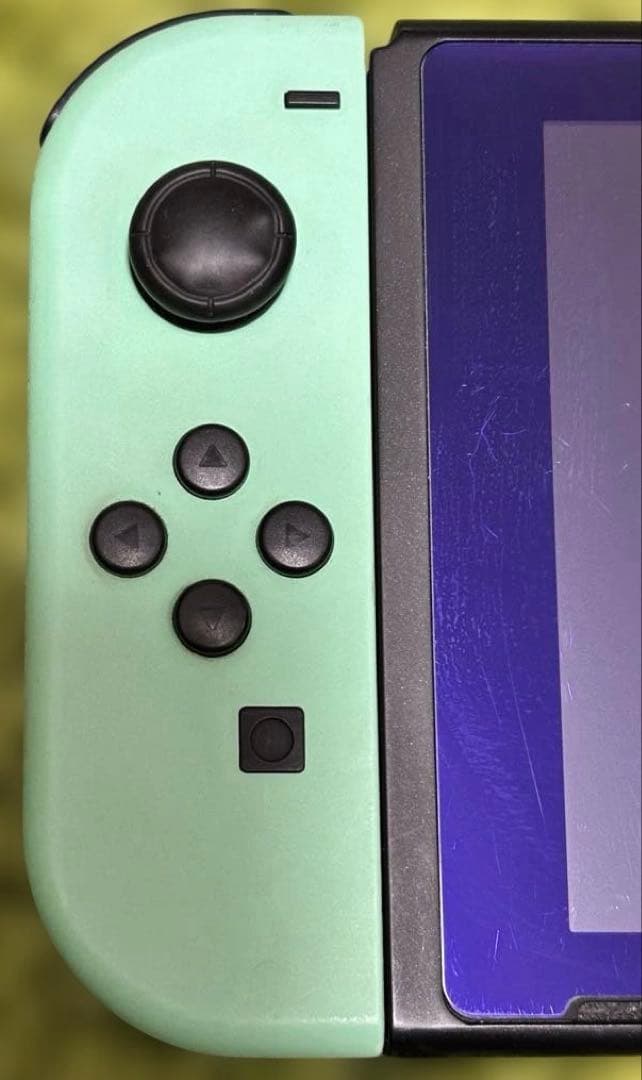 Nintendo Switchあつまれどうぶつの森デザイン 本体　初期化済