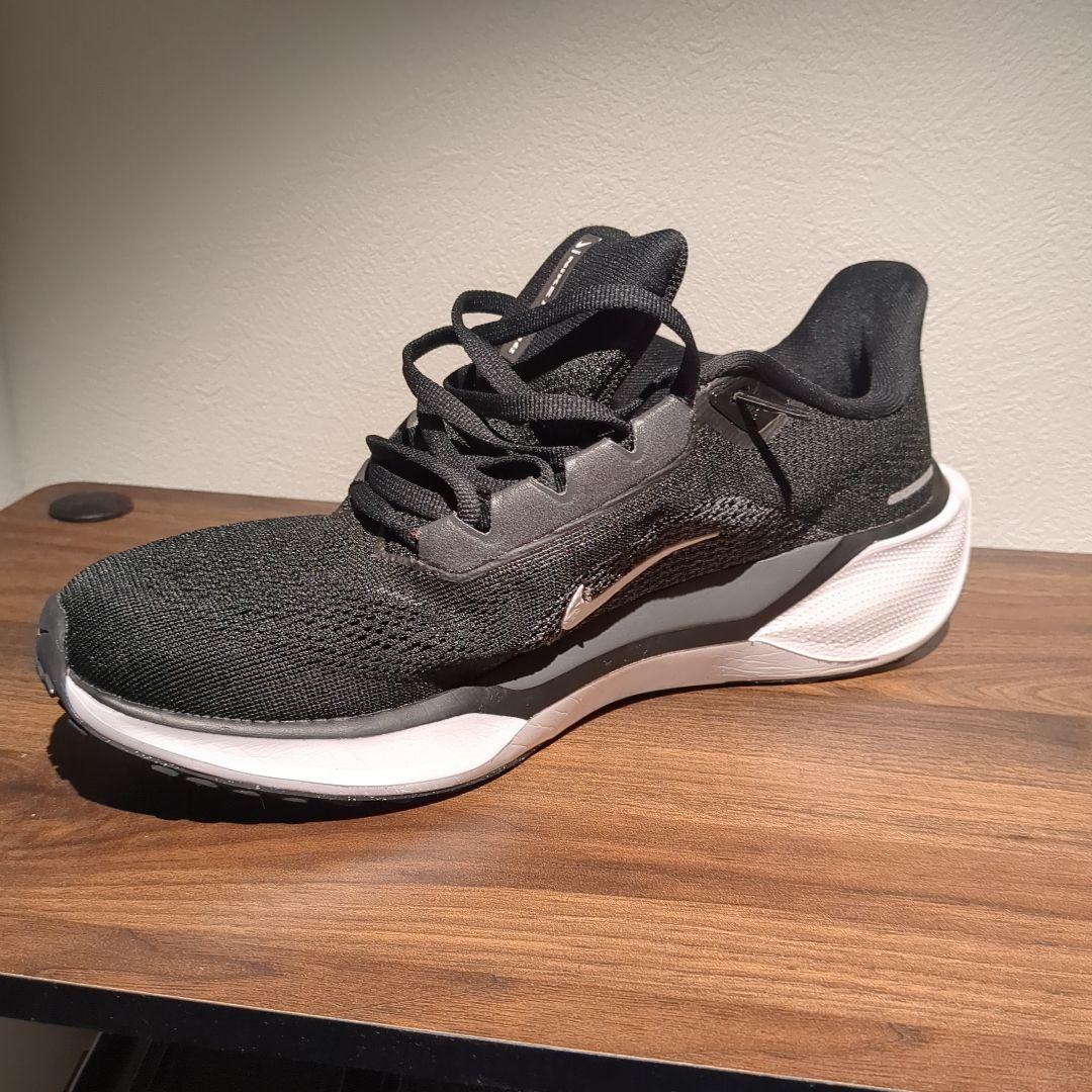Nike エアズームペガサス41　ブラック 25.0cm