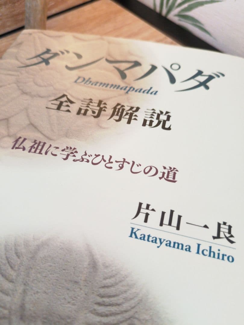 『ダンマパダ 全詩解説』片山一良