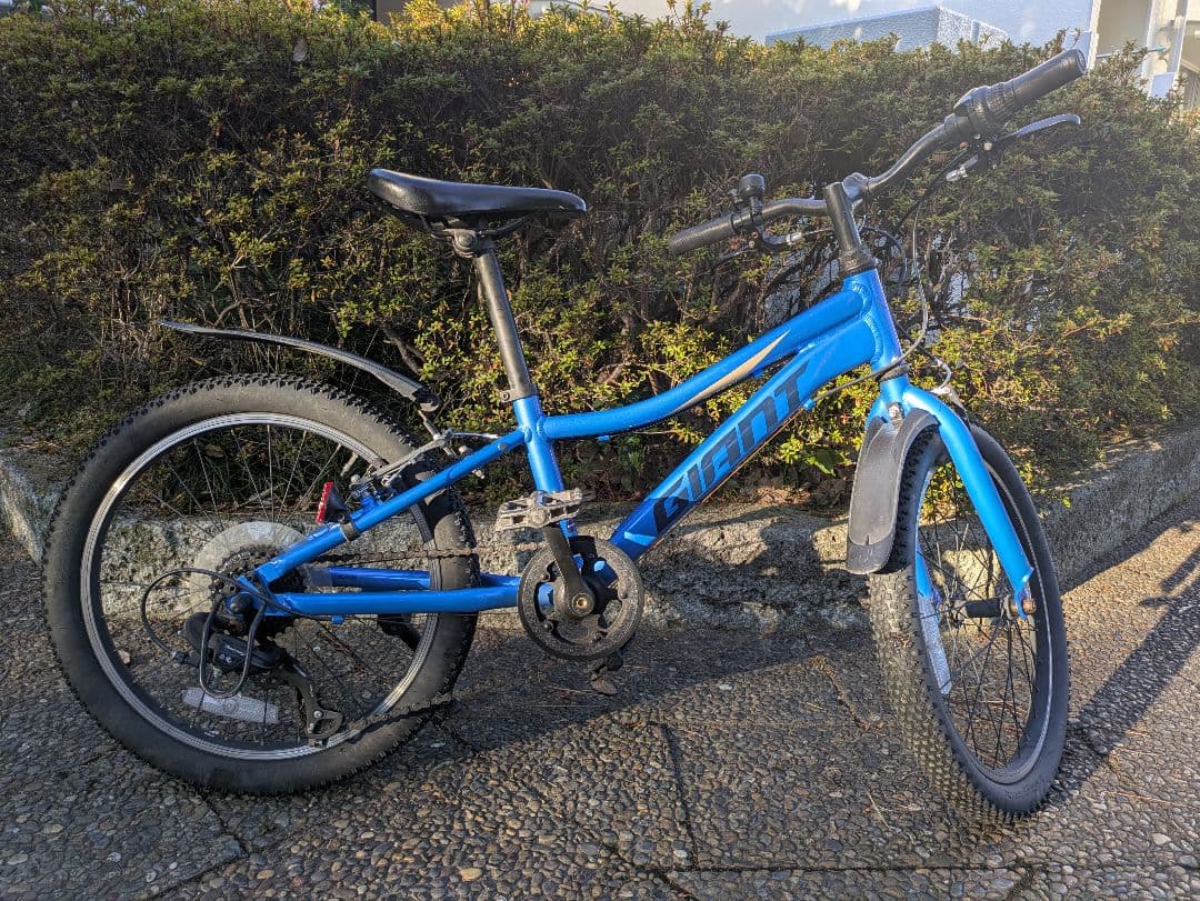 自転車 20インチ キッズバイク ジャイアント