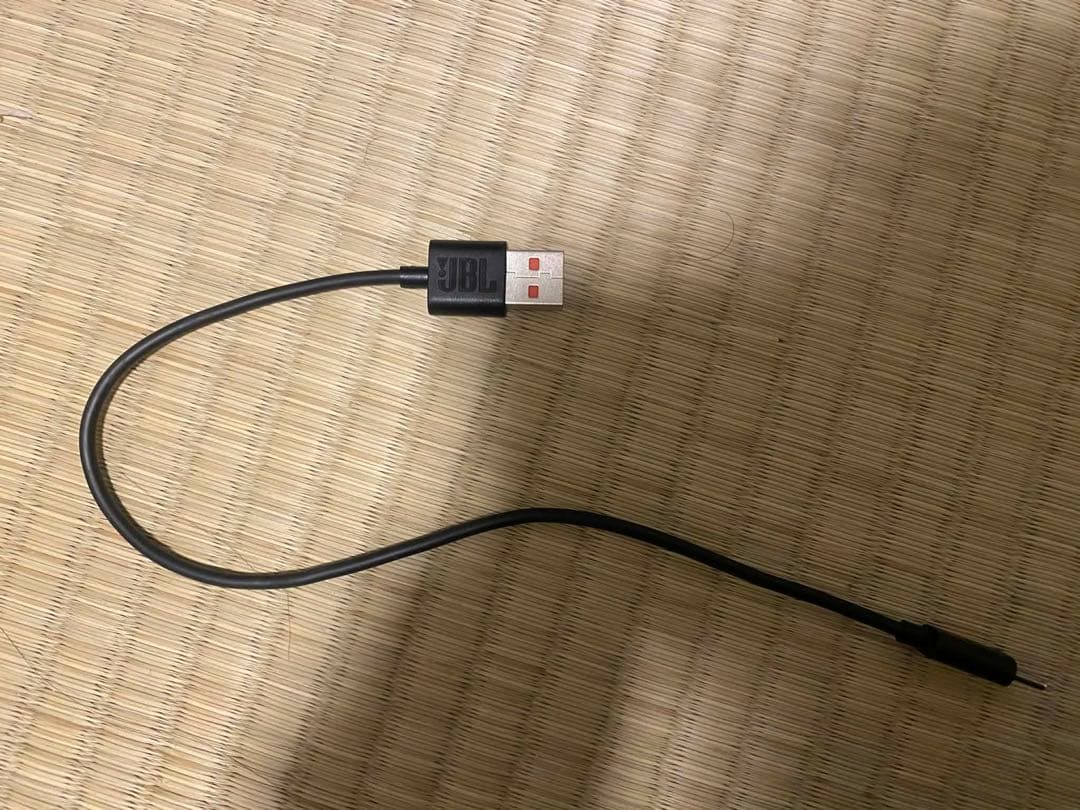 JBL PARTYBOX WIRELESS MIC 2本セット