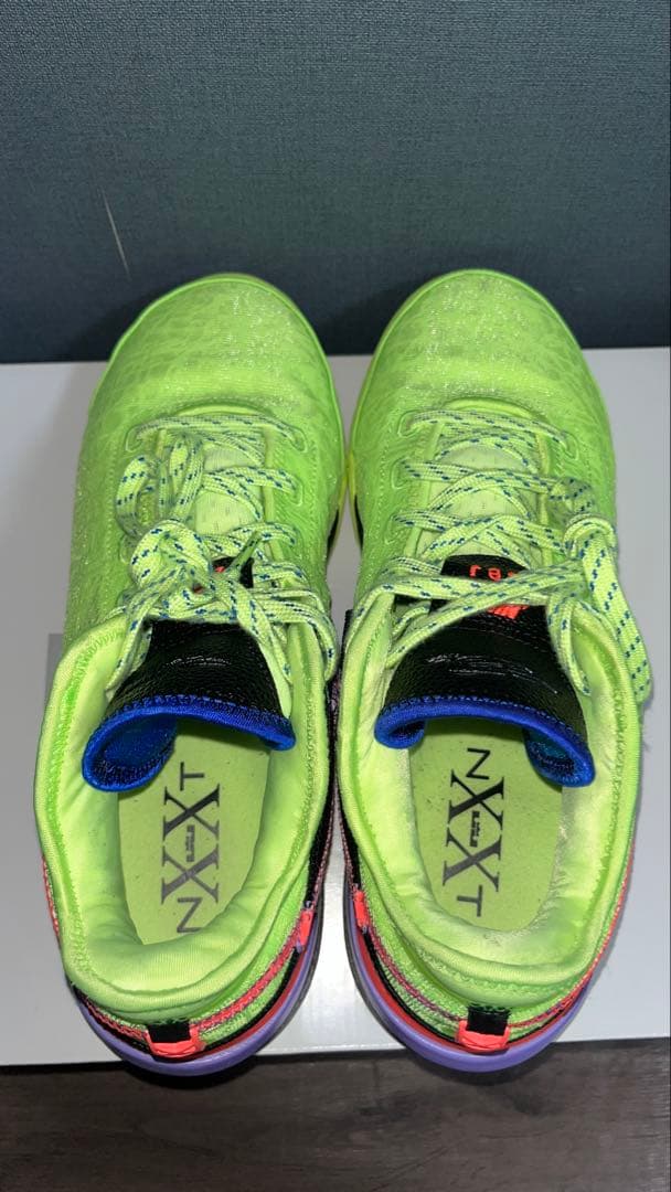 専用 NIKE LEBRON NXXT GEN EP ナイキ レブロン29cm