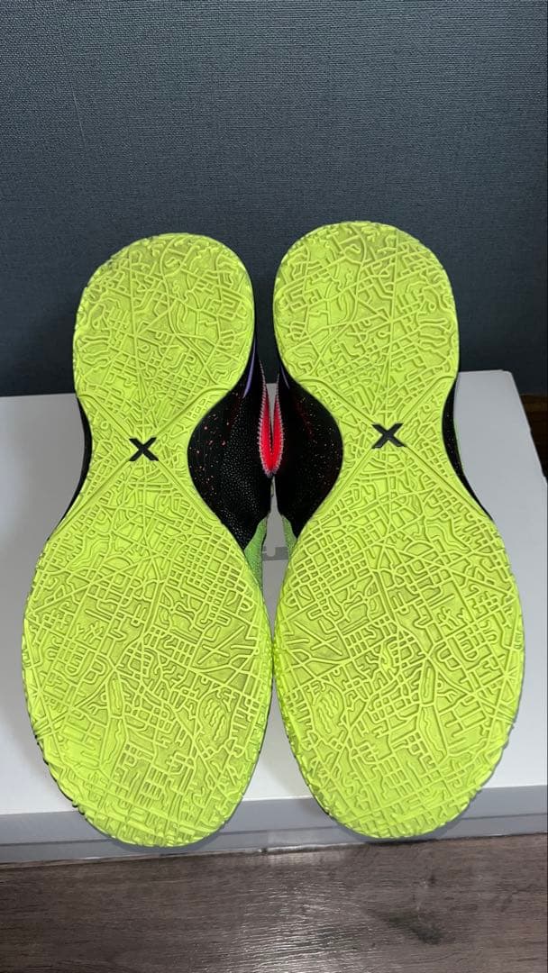 専用 NIKE LEBRON NXXT GEN EP ナイキ レブロン29cm