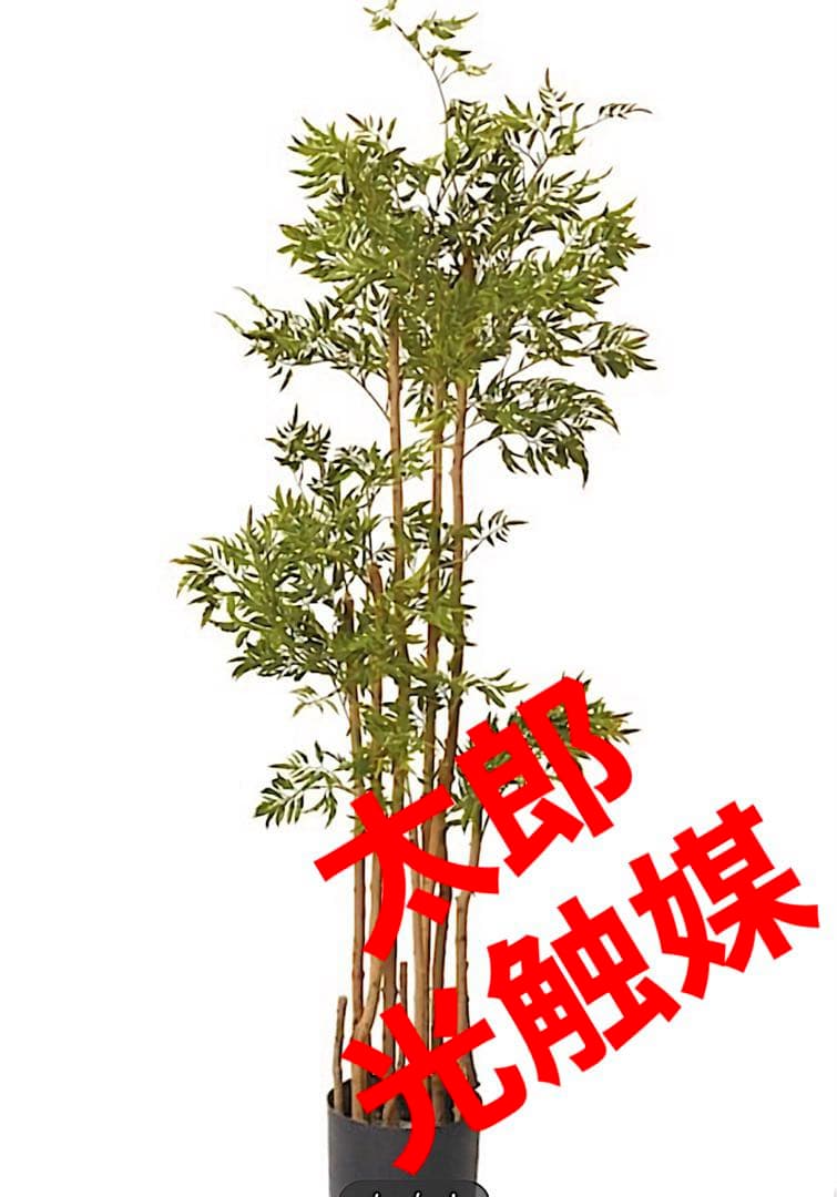 光触媒　人工観葉植物　ウォールグリーン　フェイク　フラワー　ポリシャスツリー@