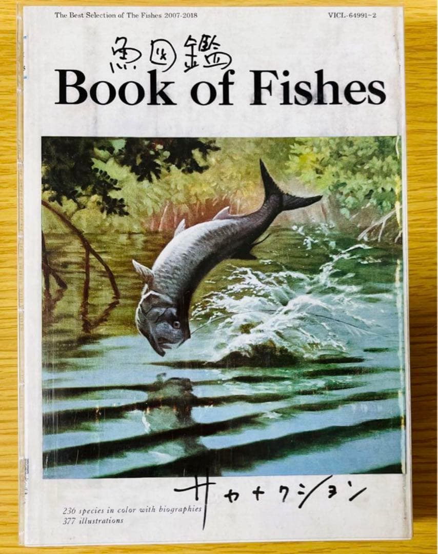 サカナクション アルバム全8枚&ベストアルバム魚図鑑&懐かしい月セット 初回盤