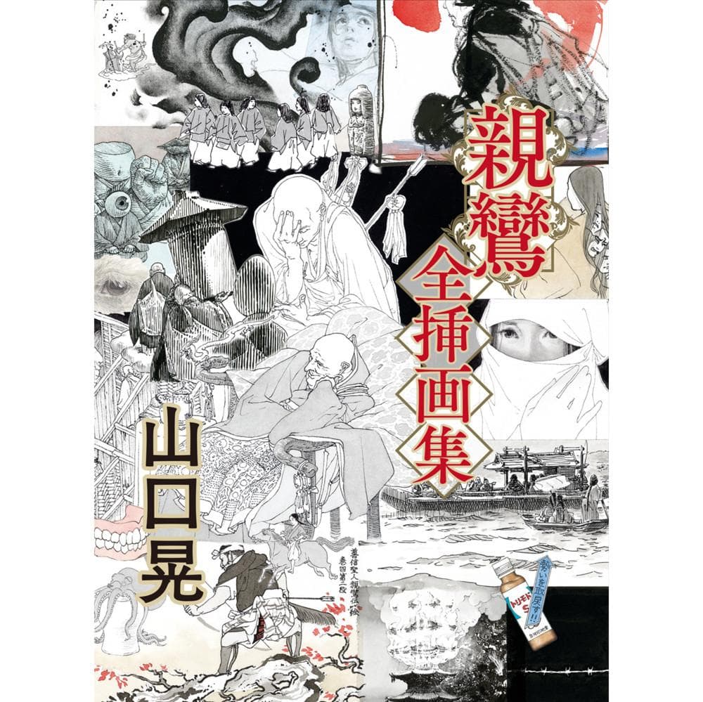 親鸞全挿画集 山口晃 青幻舎 大型本