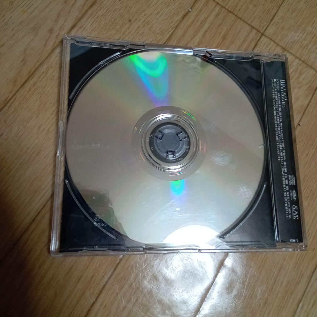 邦楽 LUNA SEA HOLY KNIGHT