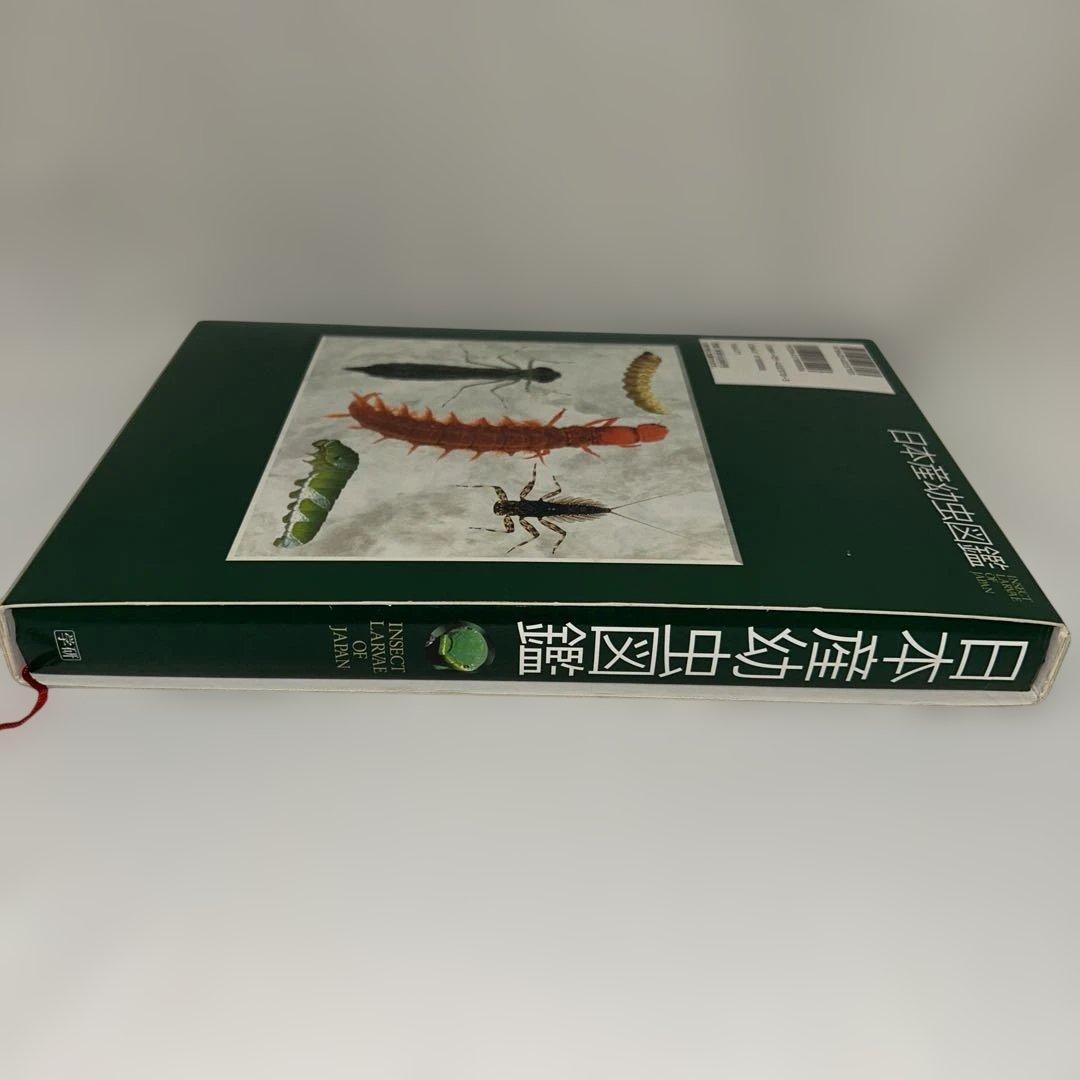 【学研】日本産幼虫図鑑