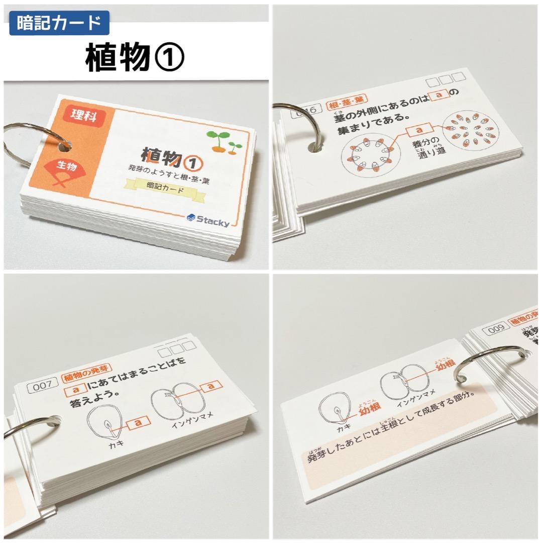 中学受験 国語＆理科 暗記カード【MX028】