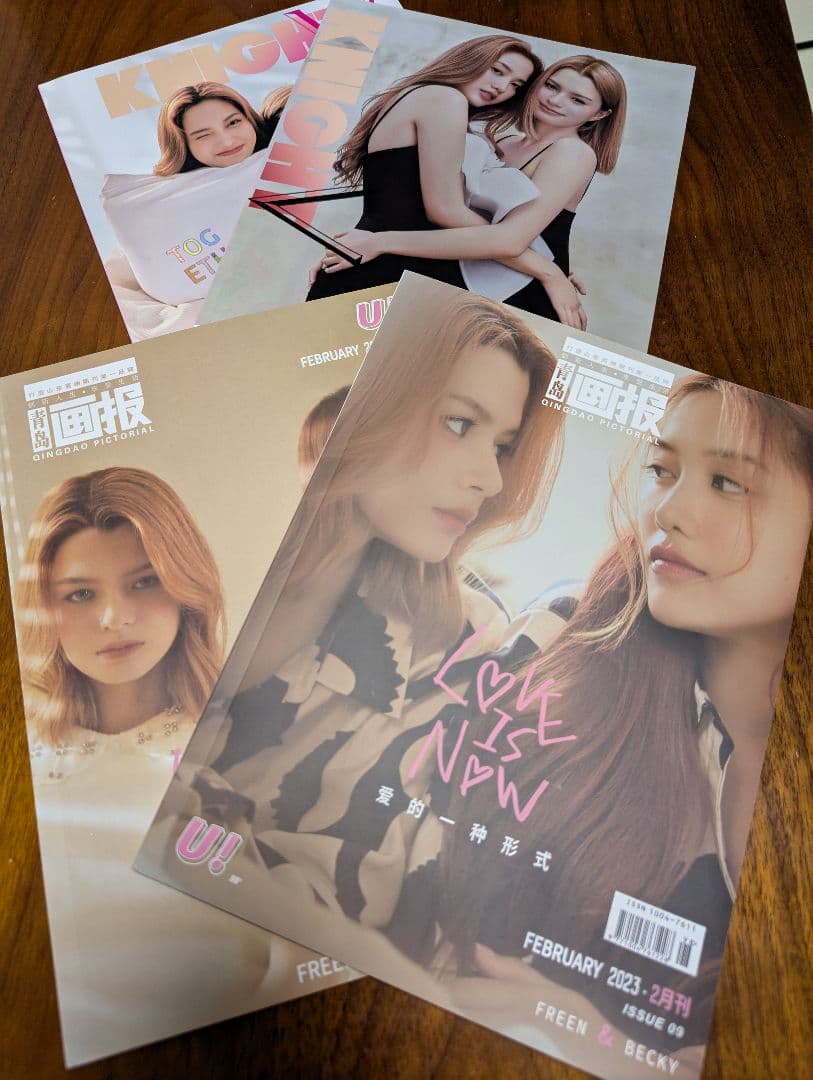 【値下げ】FreenBecky　中国雑誌20冊　チェキカード　ポスター