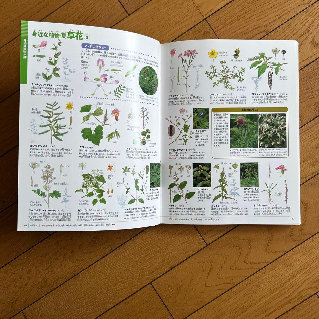 ◾️科学の実験◾️植物図鑑◾️鳥図鑑◾️水の生物図鑑◾️くふうの図鑑◾️せいかつの図鑑◾️6冊