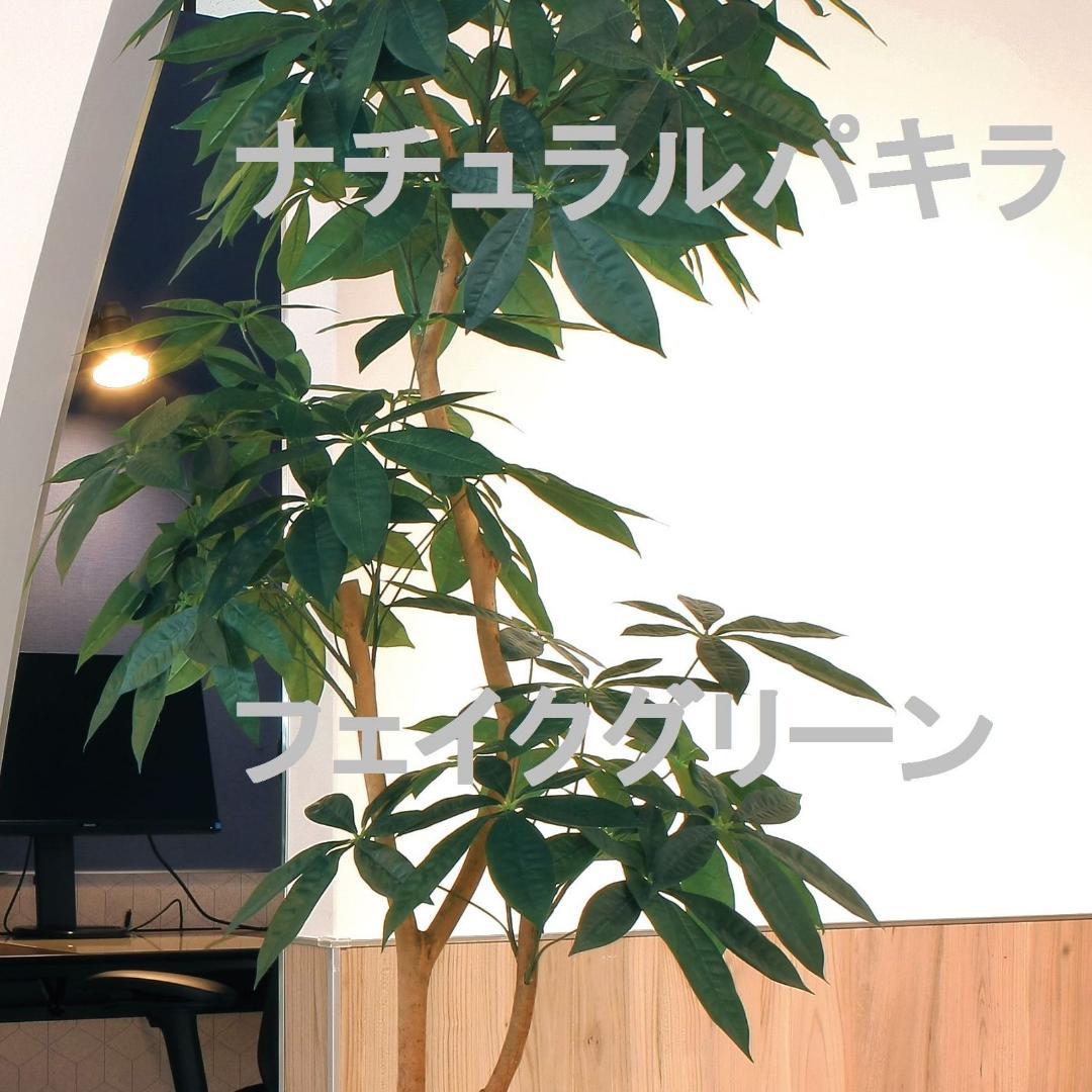 ☆日本製☆☆☆フェイクグリーン ナチュラルパキラ1.8 高さ1.8m 光の楽園