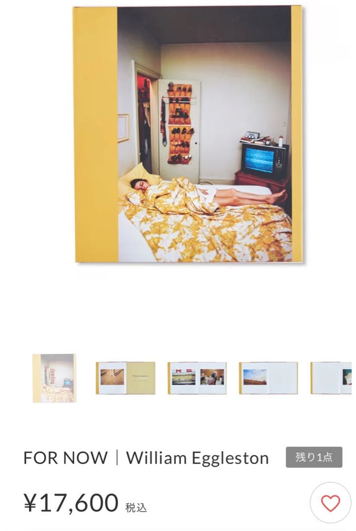 William Eggleston FOR NOW 訳あり新品
