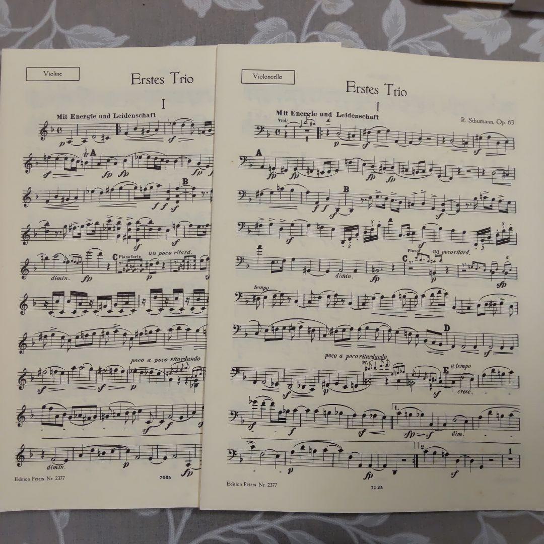 シューマン Klaviertrios