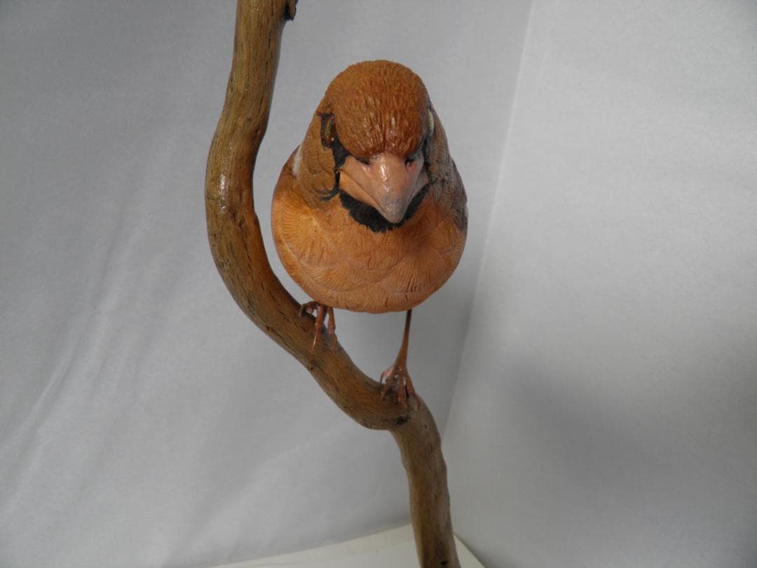 木彫りの鳥　シメ(在庫整理価格)