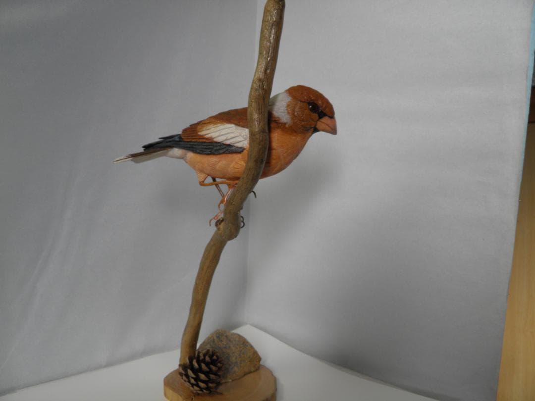木彫りの鳥　シメ(在庫整理価格)