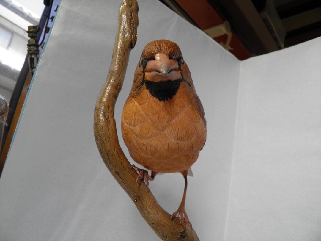 木彫りの鳥　シメ(在庫整理価格)