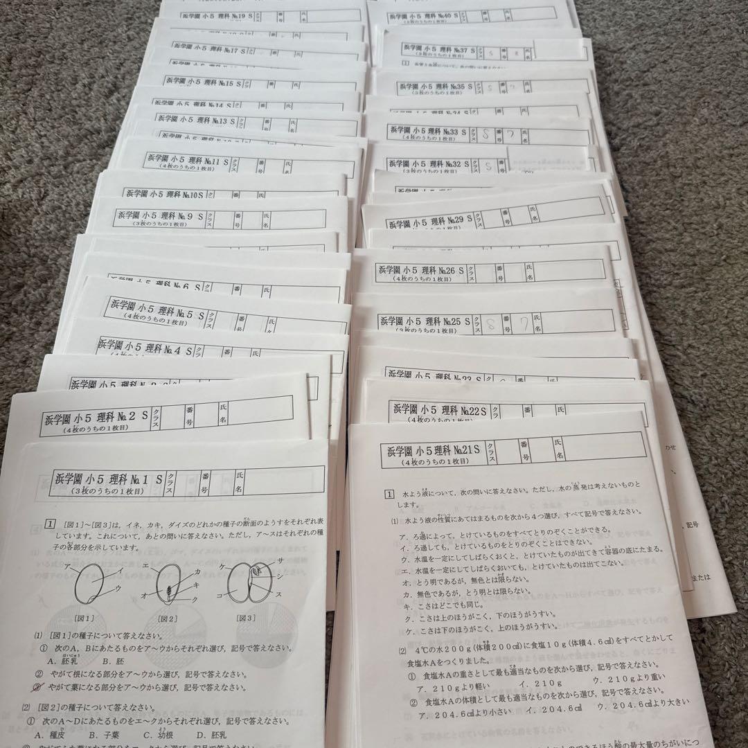 浜学園　小5 理科 サイエンス　テキスト　問題集　復習テスト付　S