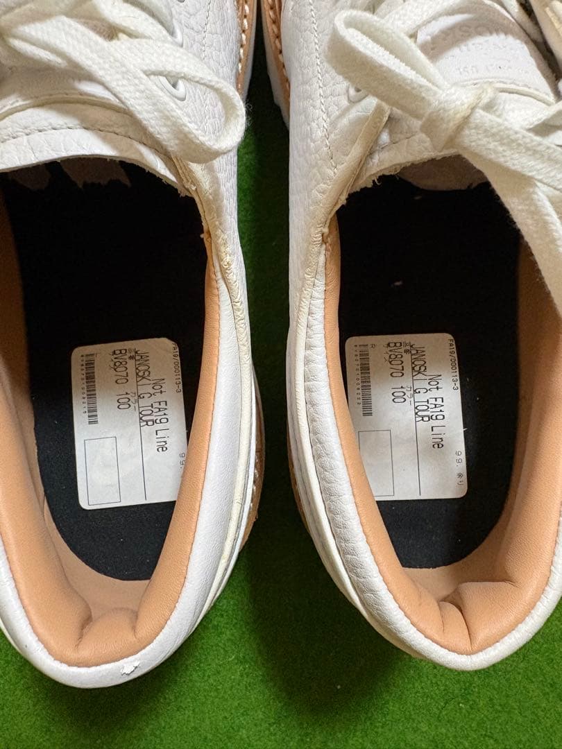 レア　NIKE JANOSKI G NIKE ジャノスキーG ゴルフスパイク