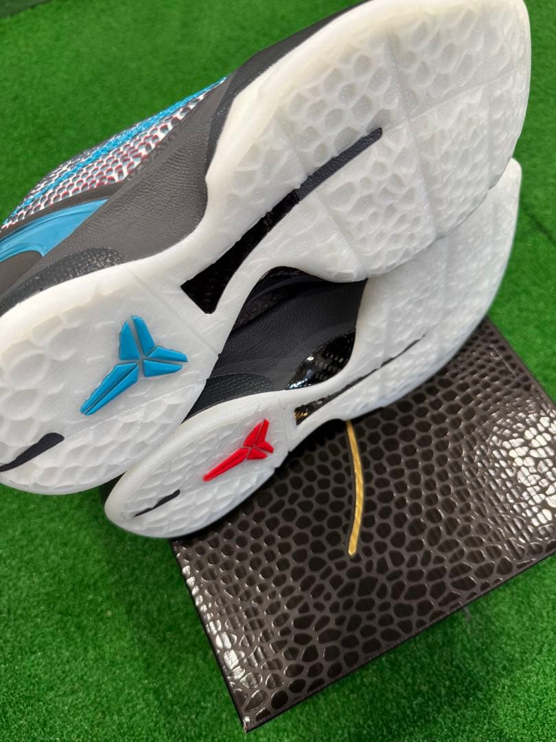 NIKE コービー6プロトロ　26cm